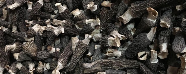 干羊肚菌怎样泡发 干羊肚菌泡发技巧