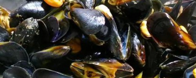 海虹煮熟了第二天吃可以吗 海虹怎样保存