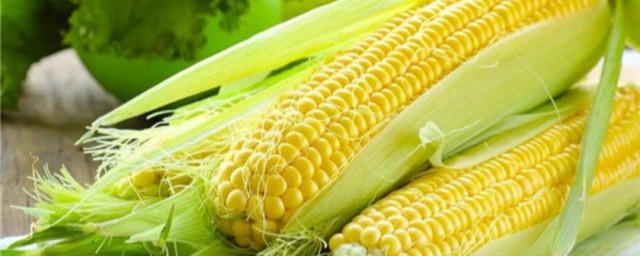 新鲜玉米放冷藏还是冷冻 新鲜玉米保存技巧简介