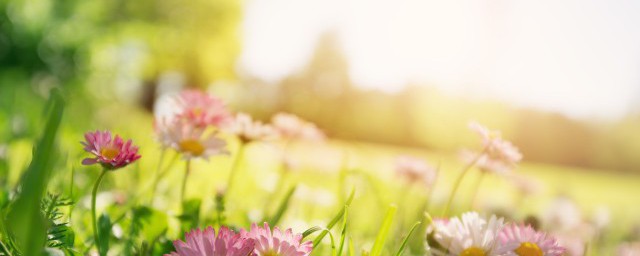 小春日和是什么季节 小春日和属于哪个季节