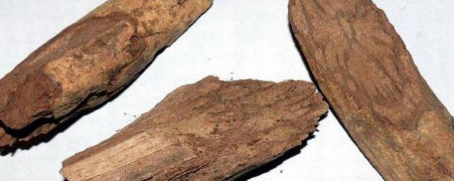 猕猴桃根的作用与用途 猕猴桃根有哪些功效