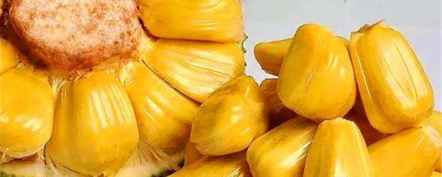 菠萝蜜是什么水果 菠萝蜜简介