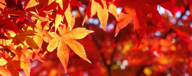秋天干燥怎样办 秋天干燥解决技巧