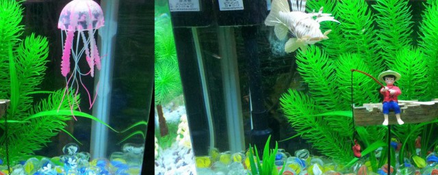 鱼缸鸭嘴不冒泡怎样解决 鱼缸鸭嘴不冒泡可以这样做