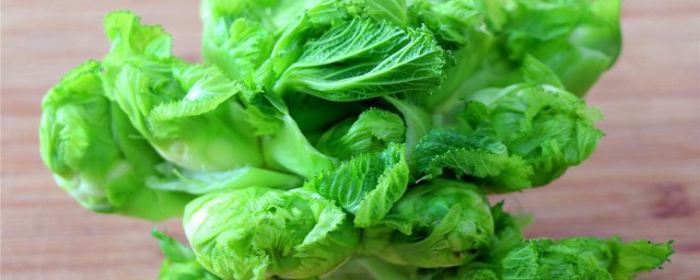 儿菜种植间距 儿菜种植间距是多少