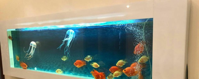 鱼缸上滤改造的最佳技巧 教你鱼缸上滤改造的最佳技巧