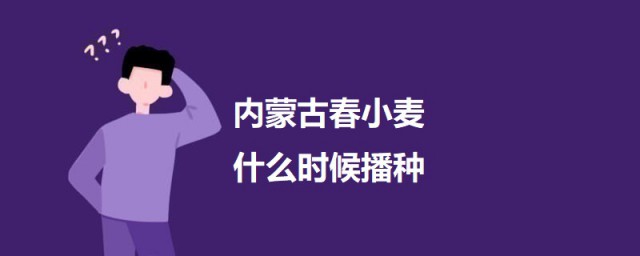 内蒙古春小麦什么时候播种 关于各地春小麦的播种时间简介