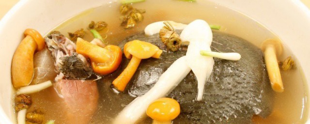 甲鱼汤的甲鱼能吃吗 可以不可以食用甲鱼汤的甲鱼