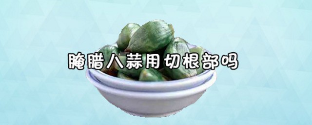 腊八蒜不去根行吗 腊八蒜介绍