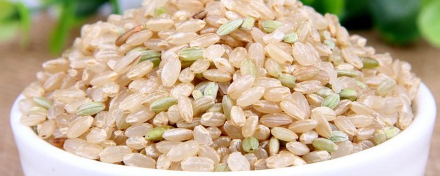 怎样做糙米米粉 糙米米粉及米糊制作技巧