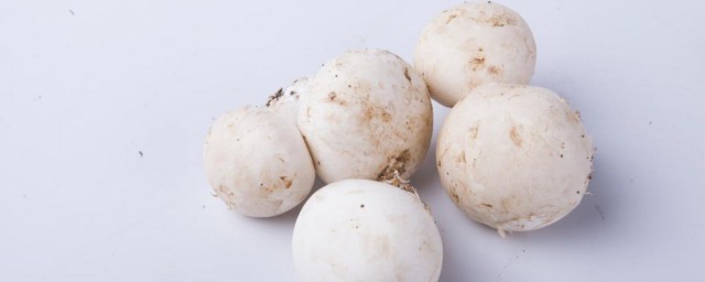 口蘑和白蘑菇的区别 口蘑和白蘑菇介绍