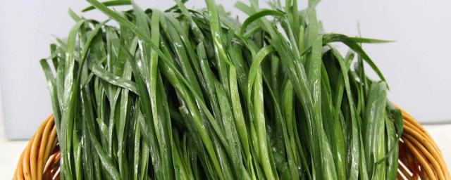 蒜苗冷棚种植新方法 怎么在冷棚种植蒜苗