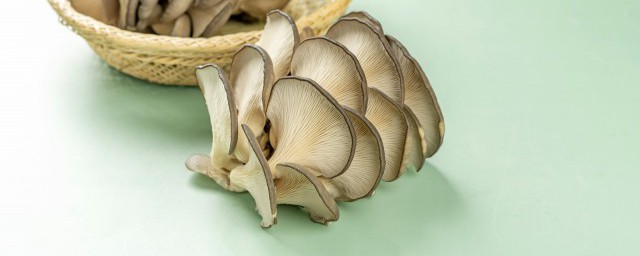人工养蘑菇的技巧 怎样进行人工养蘑菇