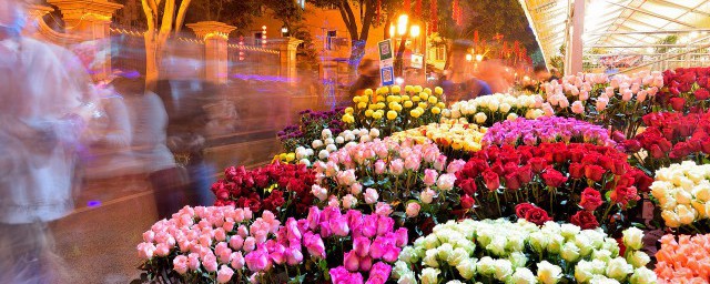 花的浇水养殖方式 如何准确给花浇水