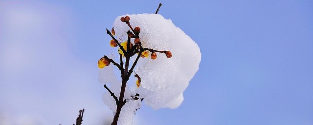 关于雪的微信签名经典语句 关于雪的句子精选