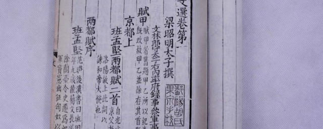 李善的简介 李善个人资料