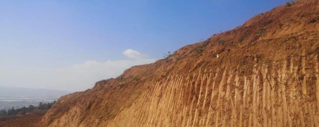 防止水土流失的技巧 怎样减少水土流失