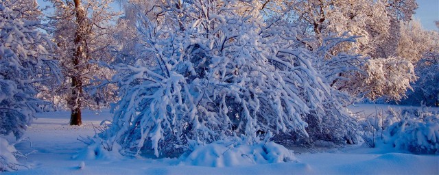 描写冬天风和雪的句子有哪些 介绍描写冬天风和雪的句子有哪些