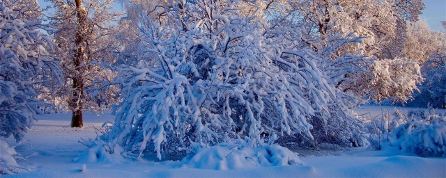 描写冬天风和雪的句子有哪些 介绍描写冬天风和雪的句子有哪些