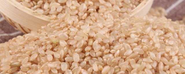 糙米直接蒸米饭可以吗 糙米怎样蒸米饭