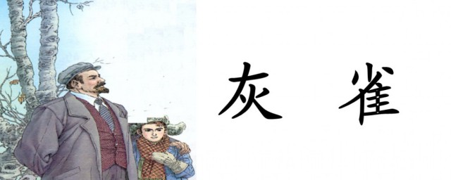描写灰雀的句子 描写灰雀的句子如下