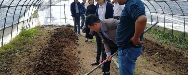 养蚯蚓最简单要领 养蚯蚓最简单办法如下