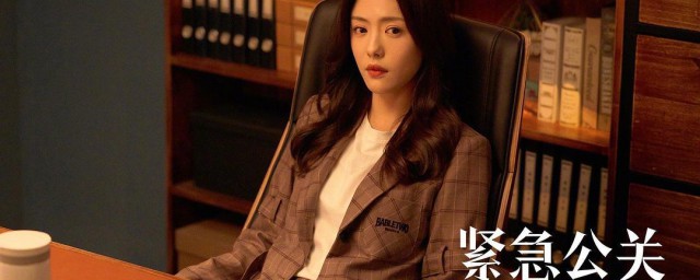 紧急公关电视剧演员表 紧急公关简介