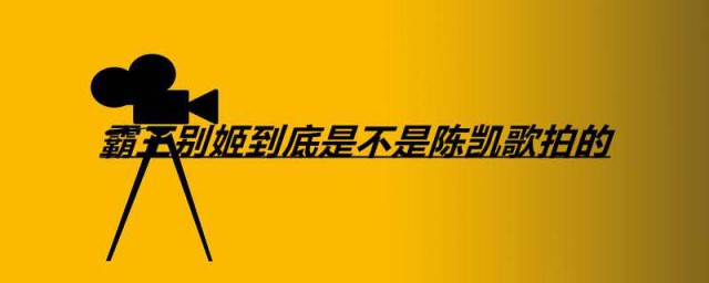 霸王别姬到底是不是陈凯歌拍的 电影霸王别姬简介