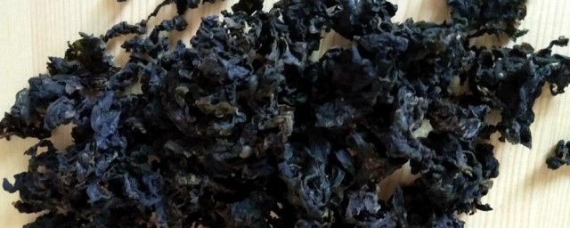 人工地皮菜的养殖技巧和注意事项 地皮菜怎样人工种植