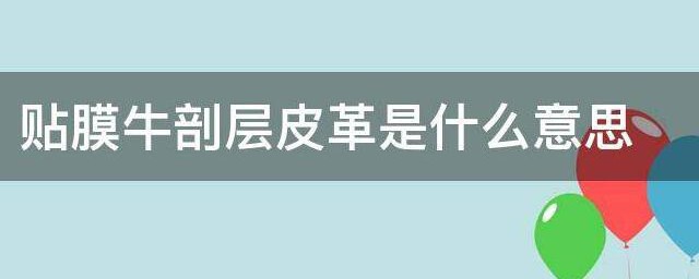 贴膜牛剖层皮革是什么意思 何为贴膜牛剖层皮革