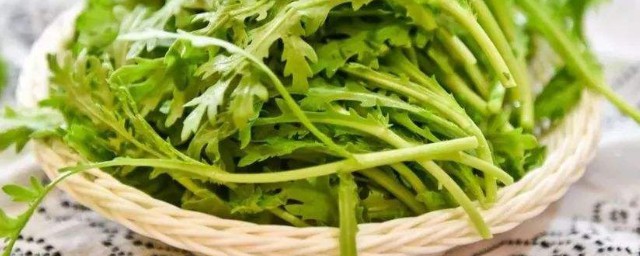 竹筒菜的种植时间和技巧 竹筒菜的种植时间和技巧简介