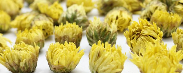 胎菊怎样泡 泡胎菊技巧