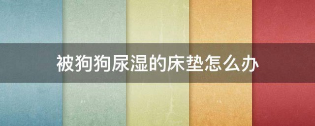 被狗狗尿湿的床垫怎么办 被狗狗尿湿的床垫可以这样清洗