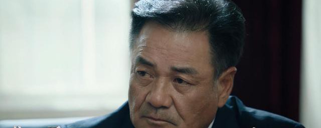 巡回检察组袁宏伟扮演者 巡回检察组袁宏伟扮演者简述