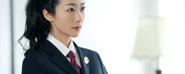 巡回检察组演员表介绍 巡回检察组剧情介绍