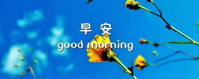 高分作文描写清晨的优美句子 描写清晨的优美句子有哪些