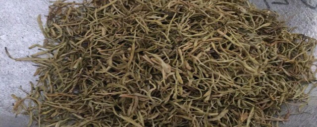 金银花怎样保存 金银花的储存技巧