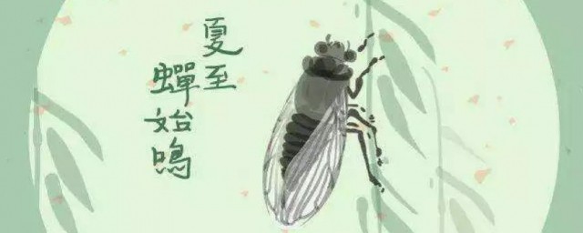 蝉寓意是什么意思 蝉寓意解释