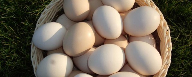 冬季新鲜鸡蛋怎样保存 冬季新鲜鸡蛋保存技巧简介