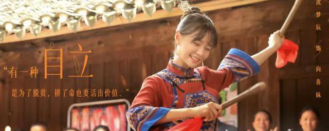 江山如此多娇向喜妹扮演者 江山如此多娇向喜妹扮演者简单简介