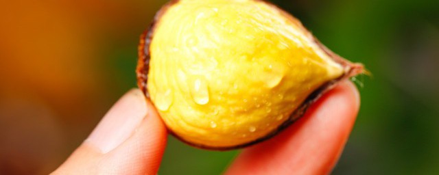 生板栗蒸米饭可以吗 生板栗能蒸米饭吗