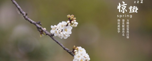 清明前面是什么节气 清明前面的节气介绍