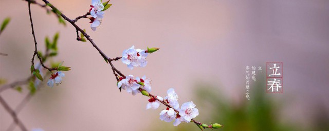 2023立春节气早安问候语发朋友圈 2023立春节气怎样发朋友圈