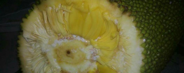 菠萝蜜辨别生熟技巧 怎样判断菠萝蜜生熟