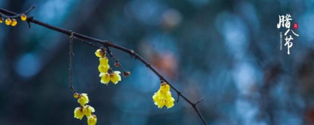 腊八节朋友圈文案句子 腊八节文案朋友圈说说句子