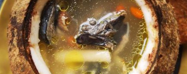 怎样做椰子炖乌鸡 椰子炖乌鸡的做法