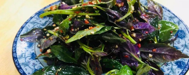 生拌血皮菜怎样做 生拌血皮菜做法简介