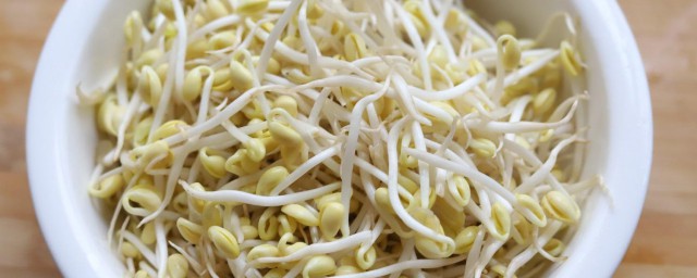 蒜苗豆芽粉丝的做法 蒜苗豆芽粉丝具体需要怎样制作