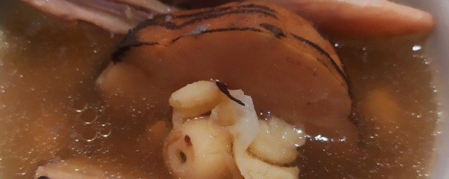 龙骨葛根汤怎样做 龙骨葛根汤有什么功效
