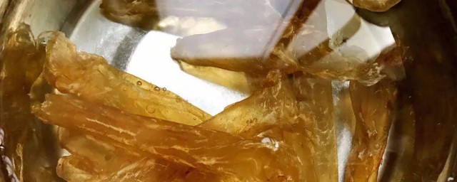 花胶怎样做软糯 怎样做花胶